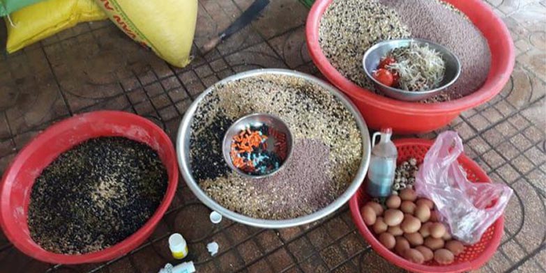 Lợi ích khi sử dụng mồi cho gà đá