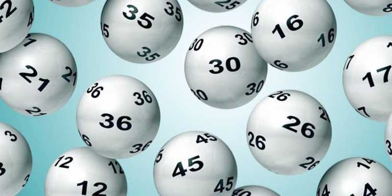 Tổng hợp một số những điều cần lưu ý khi nuôi lô khung 