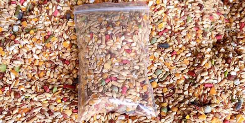 Lưu ý khi người chơi tiến hành trộn ngũ cốc cho gà đá