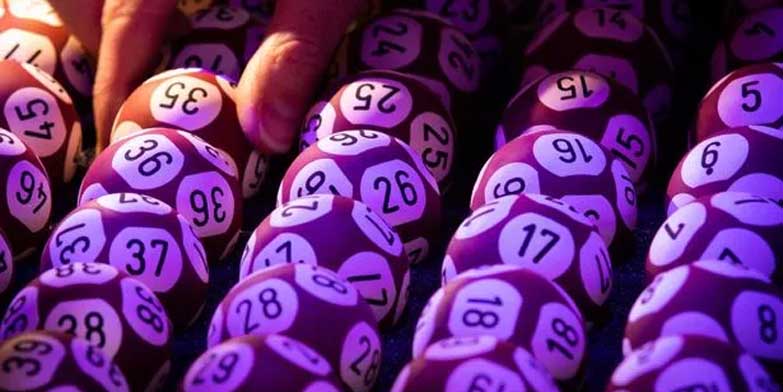 Top Các Cách Nuôi Lô Khung 2 Ngày - Cách Nuôi Lô Uy Tín